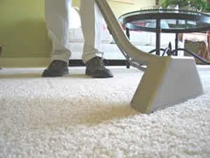 Carpet Cleaner