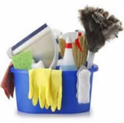 cleaning services